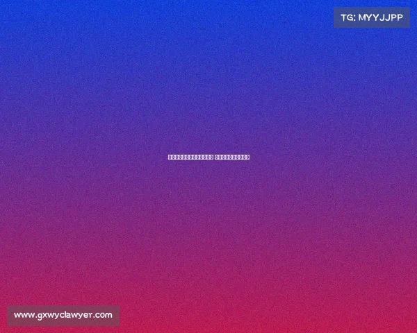 高效装备整理技巧与方法揭秘 让你的物品归类更有序